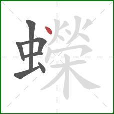 蠑的笔顺第7画:点 蠑的笔顺第7画:点