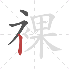 裸的笔顺第3画:竖 裸的笔顺第3画:竖