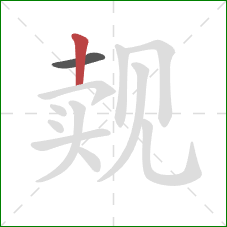 觌的笔顺第2画：竖