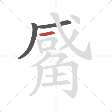 觱的笔顺第3画：横