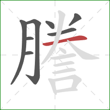 謄的笔顺第8画：横