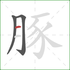 豚的笔顺第3画：横