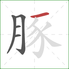 豚的笔顺第5画：横