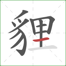 貍的笔顺第13画：横