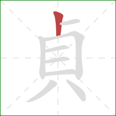 貞的笔顺第1画：竖