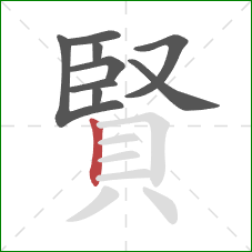 賢的笔顺第9画：竖