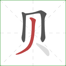 贝的笔顺第3画：撇