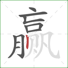 赢的笔顺第11画:竖 赢的笔顺第11画:竖