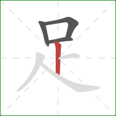 足的笔顺第4画：竖