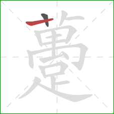 躉的笔顺第2画：横