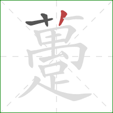 躉的笔顺第3画：竖