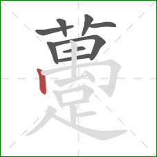 躉的笔顺第9画：竖