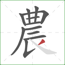 農的笔顺第12画：撇