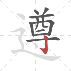 遵的笔顺第11画:竖钩 遵的笔顺第11画:竖钩