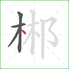 郴的笔顺第4画：点