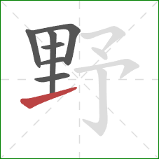 野的笔顺第7画：提
