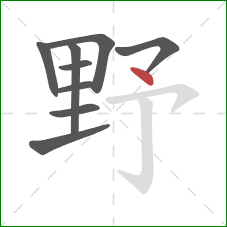 野的笔顺第9画：点