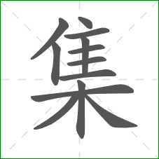 集的笔顺 集的笔顺