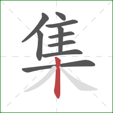 集的笔顺第10画:竖 集的笔顺第10画:竖