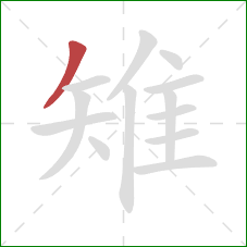 雉的笔顺第1画:撇 雉的笔顺第1画:撇