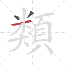 類的笔顺第3画：横