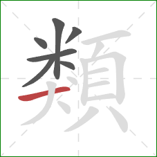 類的笔顺第7画：横