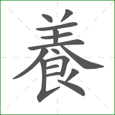 養的笔顺 養的笔顺