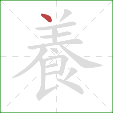 養的笔顺第1画:点 養的笔顺第1画:点