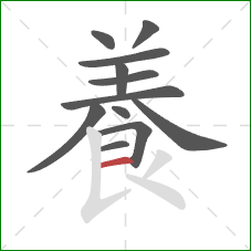 養的笔顺第12画:竖提 養的笔顺第12画:竖提