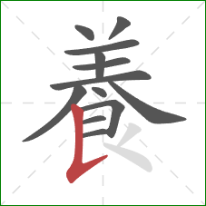 養的笔顺第13画:撇 養的笔顺第13画:撇