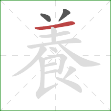 養的笔顺第3画:横 養的笔顺第3画:横