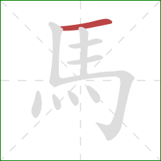 馬的笔顺第1画：横
