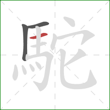 駝的笔顺第3画:横 駝的笔顺第3画:横