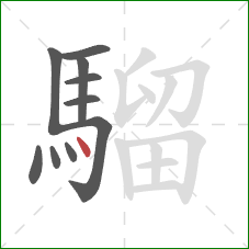 騮的笔顺第10画:点 騮的笔顺第10画:点