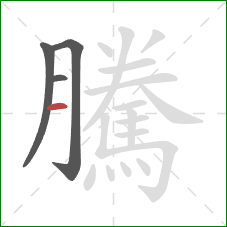 騰的笔顺第4画：横