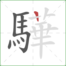 驊的笔顺第11画：横