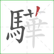 驊的笔顺第13画：竖