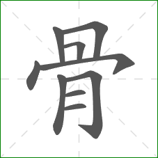 骨的笔顺