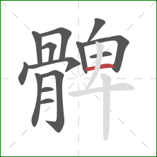 髀的笔顺第14画：横