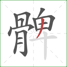 髀的笔顺第15画：撇