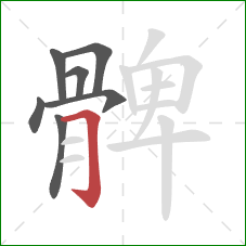 髀的笔顺第7画：横折钩