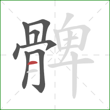 髀的笔顺第8画：横