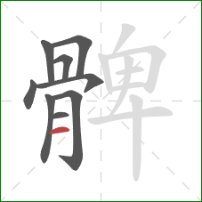 髀的笔顺第9画：横