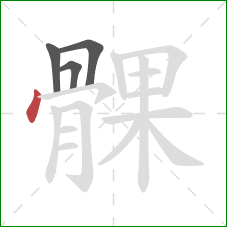 髁的笔顺第4画：点