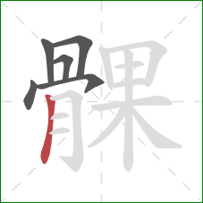 髁的笔顺第6画：竖