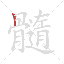 髓的笔顺第1画：竖