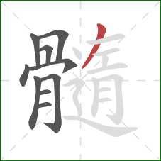 髓的笔顺第10画：横