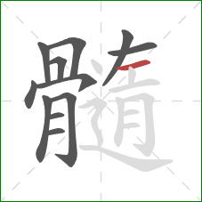 髓的笔顺第12画：横