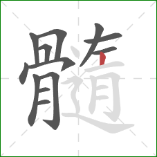 髓的笔顺第13画：竖