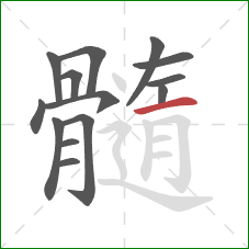 髓的笔顺第14画：横